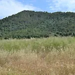 Villa Sa Pobla 040